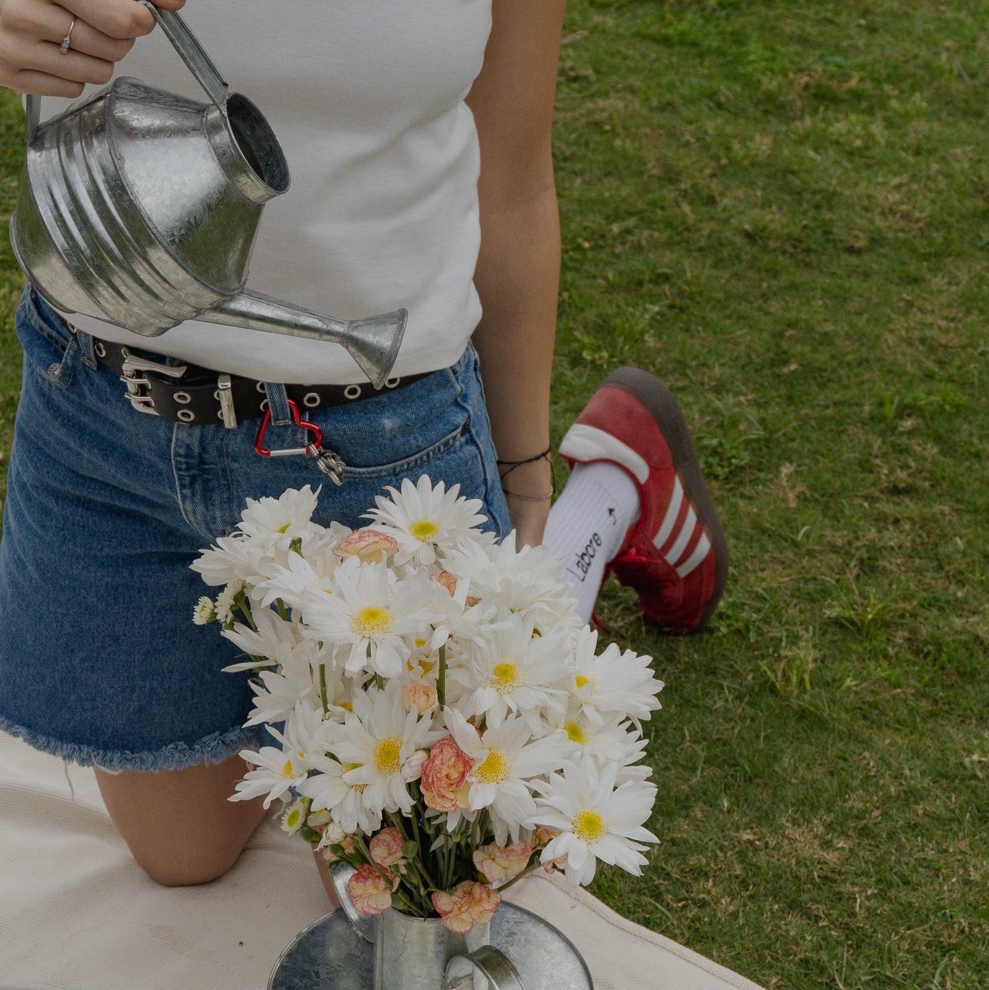 Regadera Hojalata "Ebro"