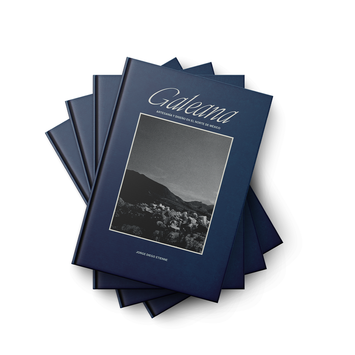 Paquete 10 Libros Galeana