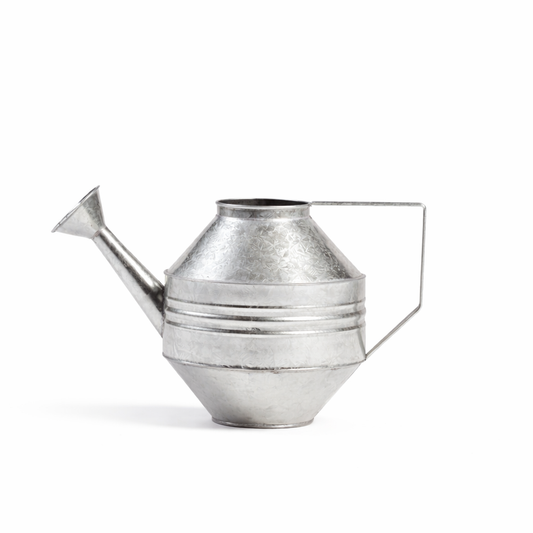 Regadera Hojalata "Ebro"